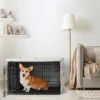 Sweet Jojo Designs Boy, Girl, Unisex/Gender Neutral Dog Crate Kennel Cover 36in. Corgi Cartoon Puppy Orange And White -Kids House GUEST 657a969b a3d9 47c8 99c2 fcb0e169197c