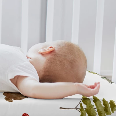 Sweet Jojo Designs Boy, Girl, Gender Neutral Baby Bassinet Fitted Sheets Set Watercolor Woodland Forest Animals Green Brown And Red 2pc 4 Sweet Jojo Designs Boy, Girl, Gender Neutral Baby Bassinet Fitted Sheets Set Watercolor Woodland Forest Animals Green Brown And Red 2pc - Image 2